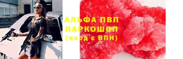 прущие грибы Абаза