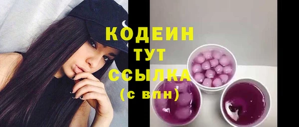 прущие грибы Абаза