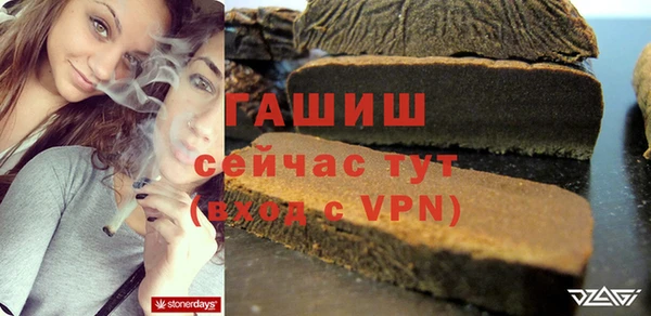 прущие грибы Абаза