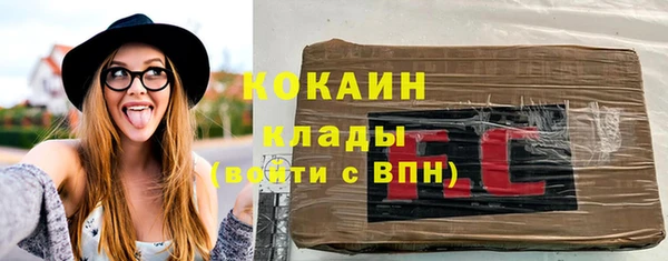 прущие грибы Аркадак