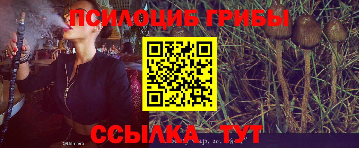 Псилоцибиновые грибы Magic Shrooms  Вход с VPN  Симферополь 
